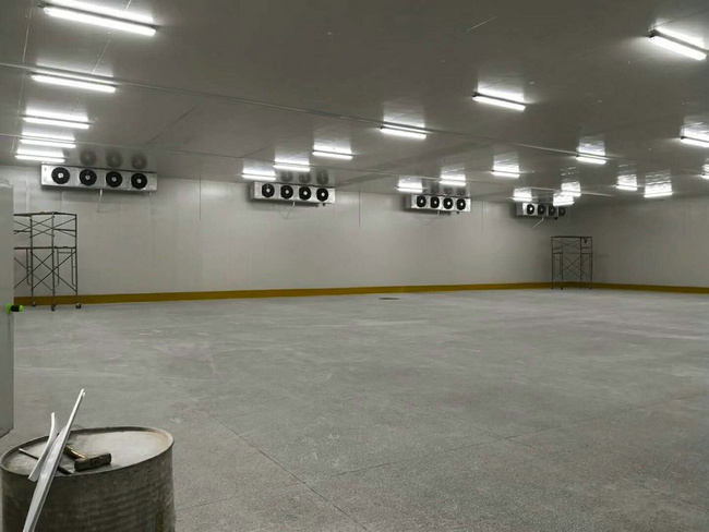 建造100平方冷凍庫(kù)需要多少錢？